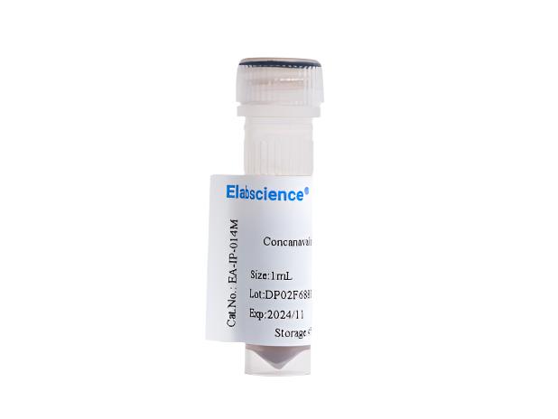 Concanavalin A Magnetic beads, 1mL, Biomarkers, Elabscience Biotechnology, MSE Supplies