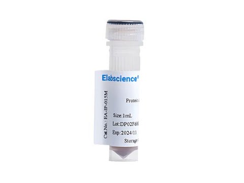 Protein A Magnetic beads, 1mL, Biomarkers, Elabscience Biotechnology, MSE Supplies
