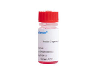 Protein G agarose gel, 2mL, Biomarkers, Elabscience Biotechnology, MSE Supplies