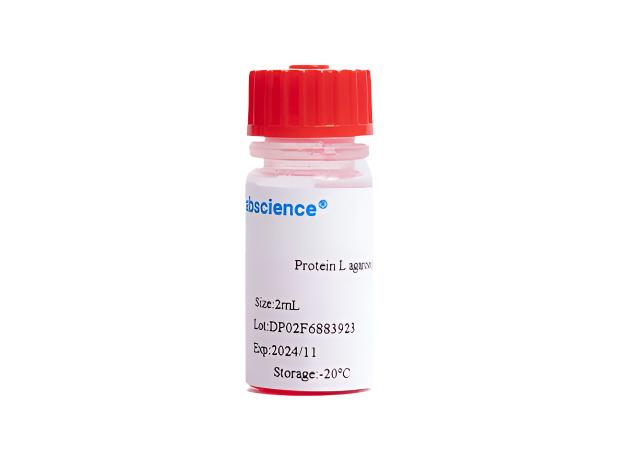 Protein L agarose gel, 2mL, Biomarkers, Elabscience Biotechnology, MSE Supplies