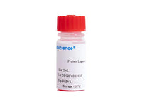 Protein L agarose gel, 2mL, Biomarkers, Elabscience Biotechnology, MSE Supplies