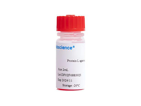 Protein L agarose gel, 2mL, Biomarkers, Elabscience Biotechnology, MSE Supplies