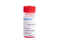 Rabbit IgG Affinity Agarose, 2mL, Biomarkers, Elabscience Biotechnology, MSE Supplies