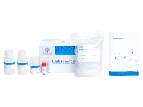 IP/CoIP Kit (Pro G Agarose), Biomarkers, Elabscience Biotechnology, MSE Supplies