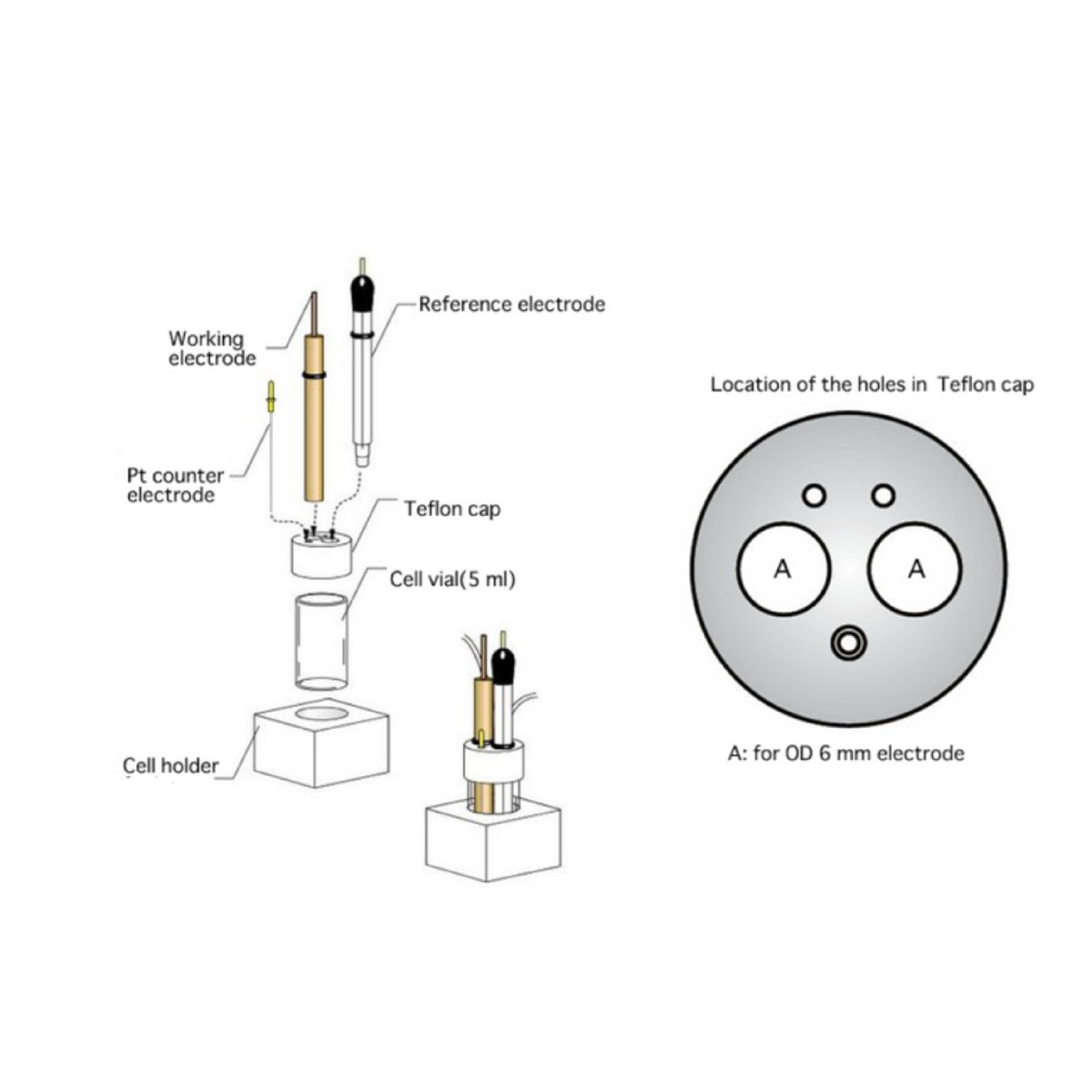 BASi Teflon Cap - for 1-3 mL Air-tight EC Cells - Electrochemical Products - BASi - MSE Supplies