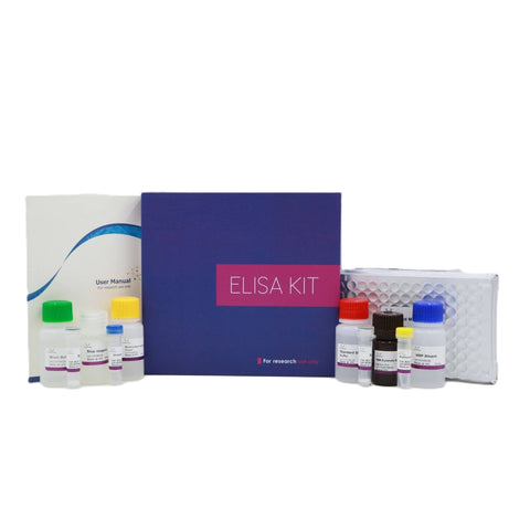 MSE PRO Rat MTL(Motilin) ELISA Kit