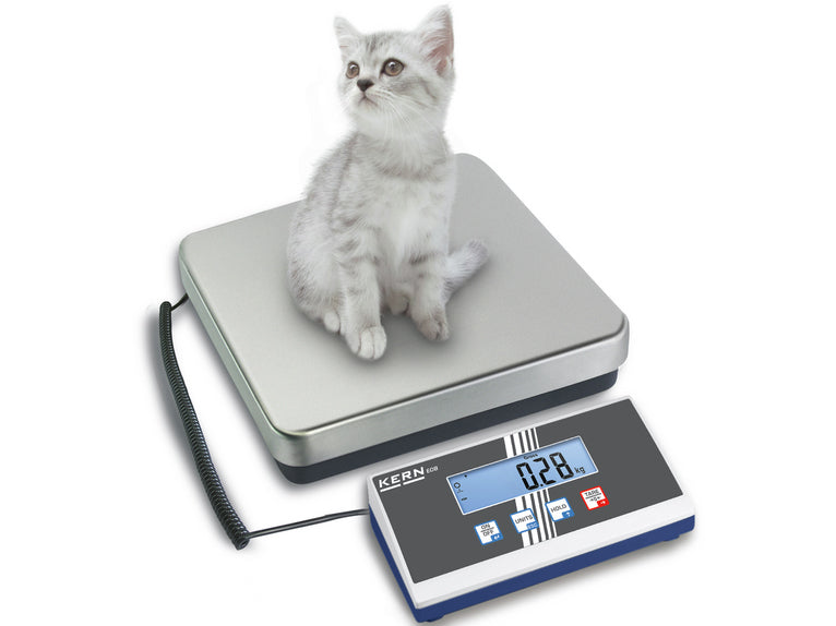 Kern Platform Scale EOB 150K50, Balances and Scales, Kern, MSE Supplies