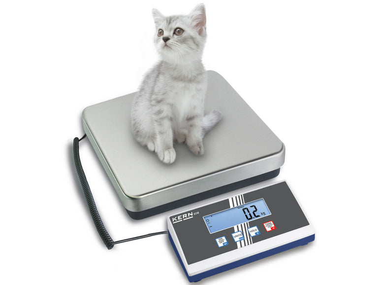 Kern Platform Scale EOB 300K100A, Balances and Scales, Kern, MSE Supplies
