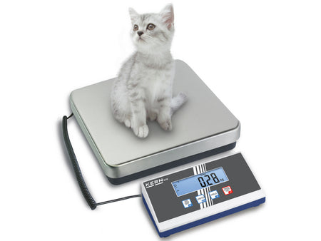 Kern Platform Scale EOB 60K20, Balances and Scales, Kern, MSE Supplies