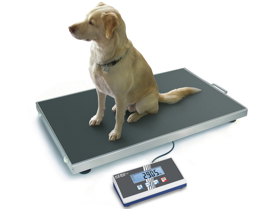 Kern Platform Scale EOS 150K50XL, Balances and Scales, Kern, MSE Supplies