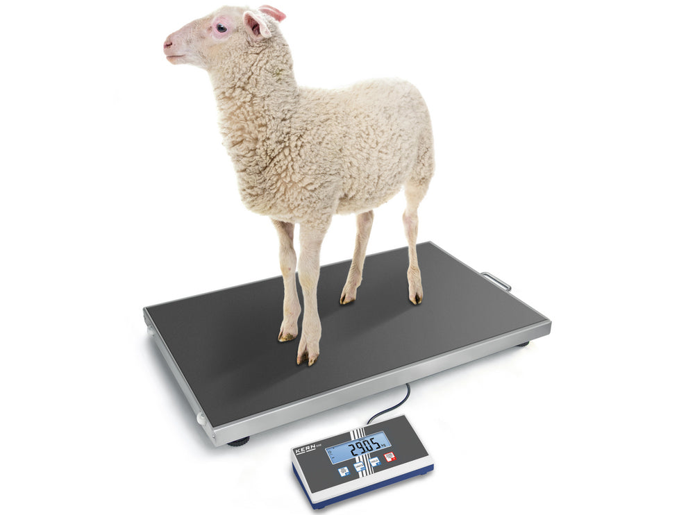 Kern Platform Scale EOS 150K50XL, Balances and Scales, Kern, MSE Supplies