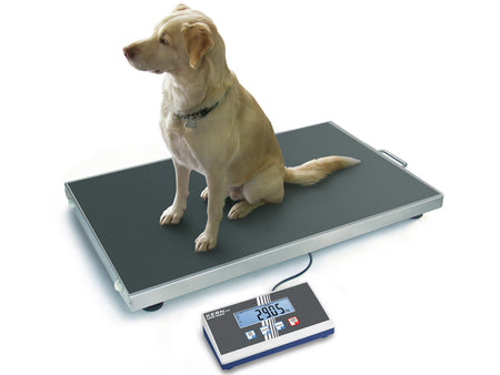 Kern Platform Scale EOS 300K100XL, Balances and Scales, Kern, MSE Supplies