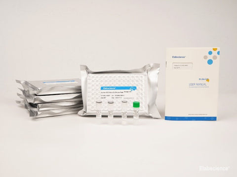 Uncoated Human Hepc(Hepcidin) ELISA Kit - MSE Supplies LLC
