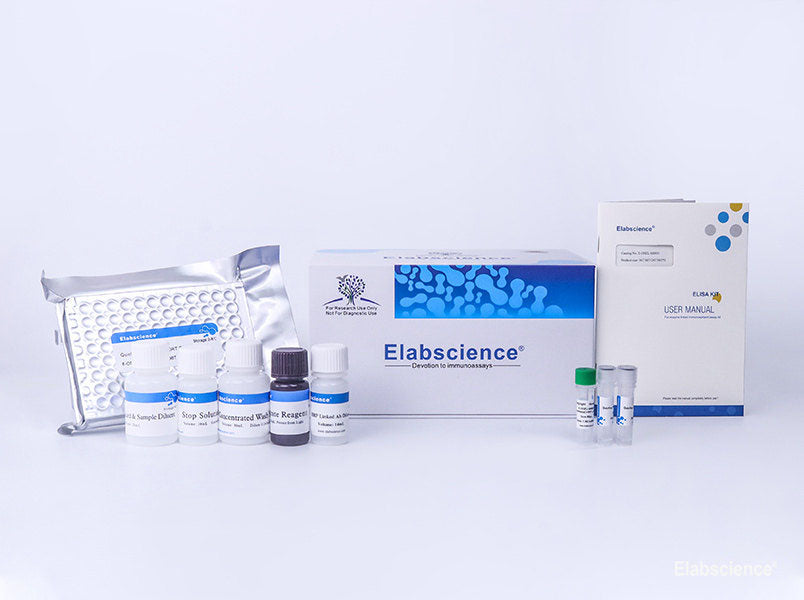 Bovine Pg(Progesterone) ELISA Kit, Cell Assays, Elabscience Biotechnology, MSE Supplies