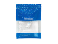 RARB Polyclonal Antibody Store at -20°C