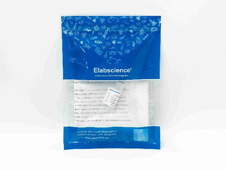 MYDGF Polyclonal Antibody Reactivity Human