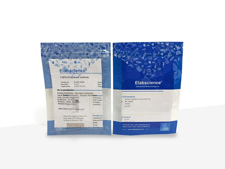 CK5 Monoclonal Antibody Synonyms CK5