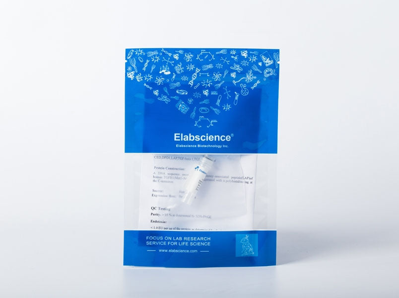 Recombinant Mouse LAMP2/CD107b Protein (His Tag)