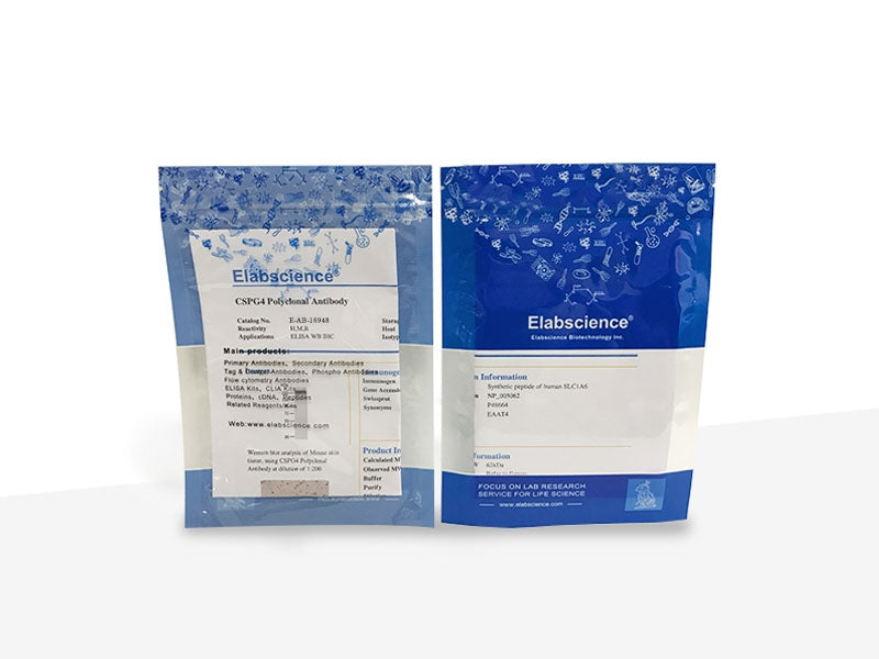 CD31 Monoclonal Antibody Synonyms CD31