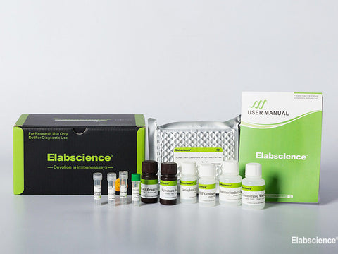 Human ADP/Acrp30 (Adiponectin) CLIA Kit, Cell Assays, Elabscience Biotechnology, MSE Supplies