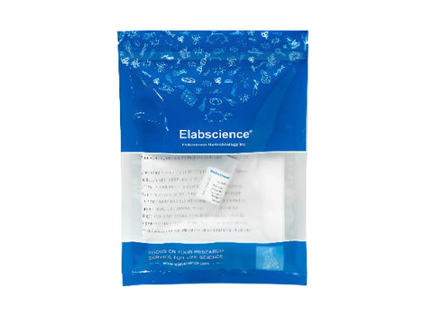 HSF27 Polyclonal Antibody Store at -20°C