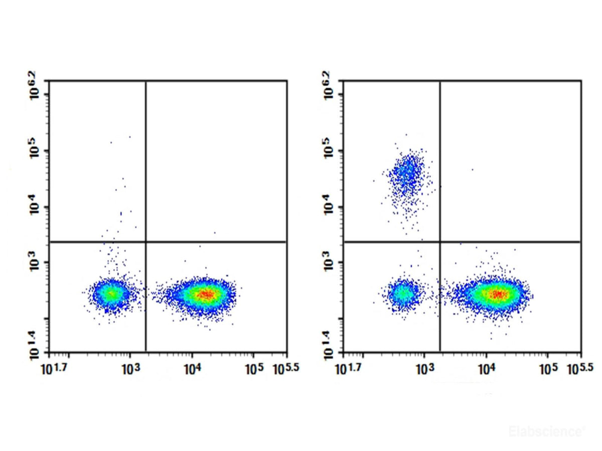 Purified Anti-Human CD19 Antibody[HI19a], Biomarkers, Elabscience Biotechnology, MSE Supplies