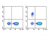 Purified Anti-Human CD19 Antibody[HI19a], Biomarkers, Elabscience Biotechnology, MSE Supplies