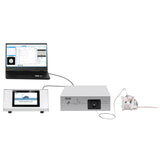 RWD R811/FR-11 Dual Color Multichannel Fiber Photometry System