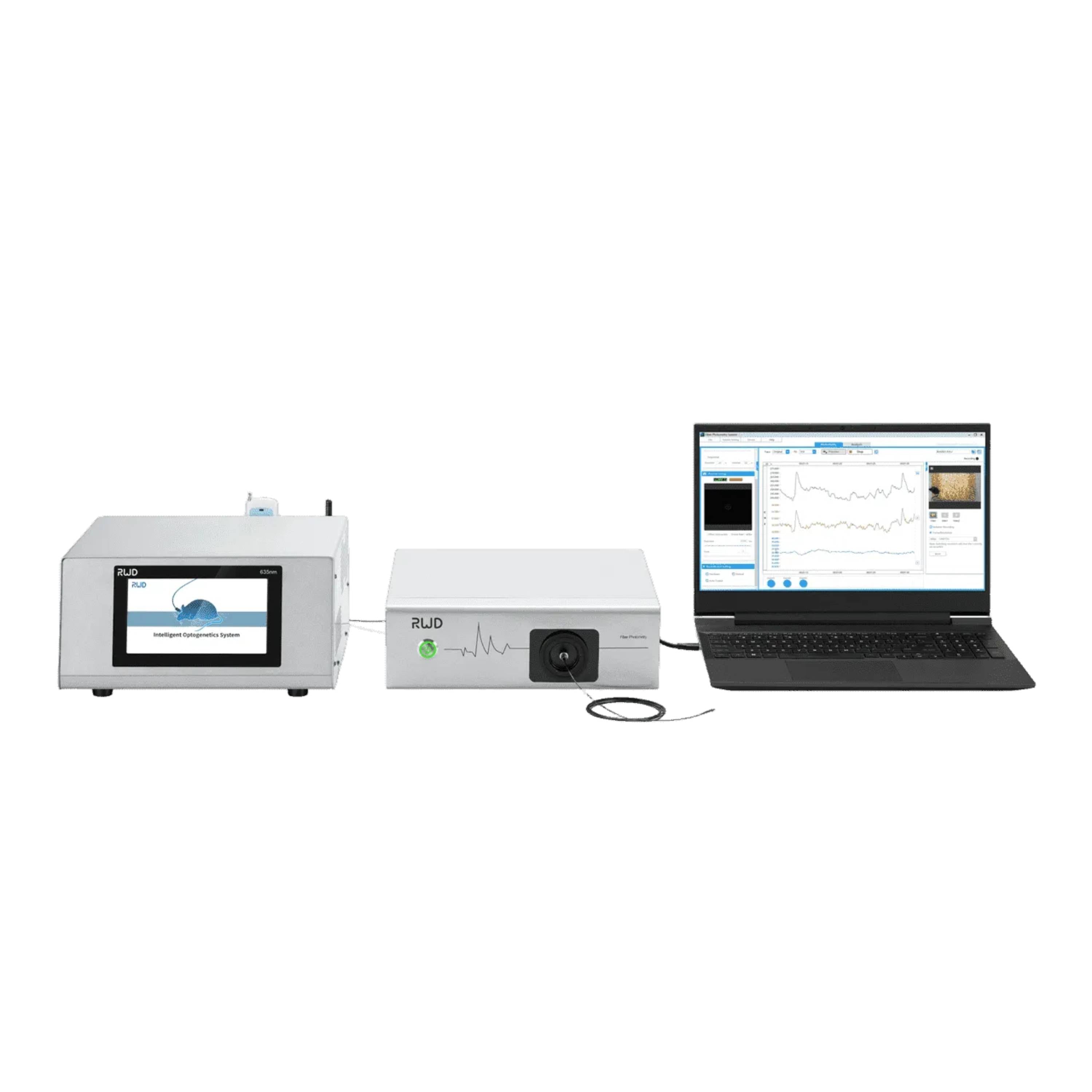 RWD R812/FR-12 Dual Color Multichannel Fiber Photometry System