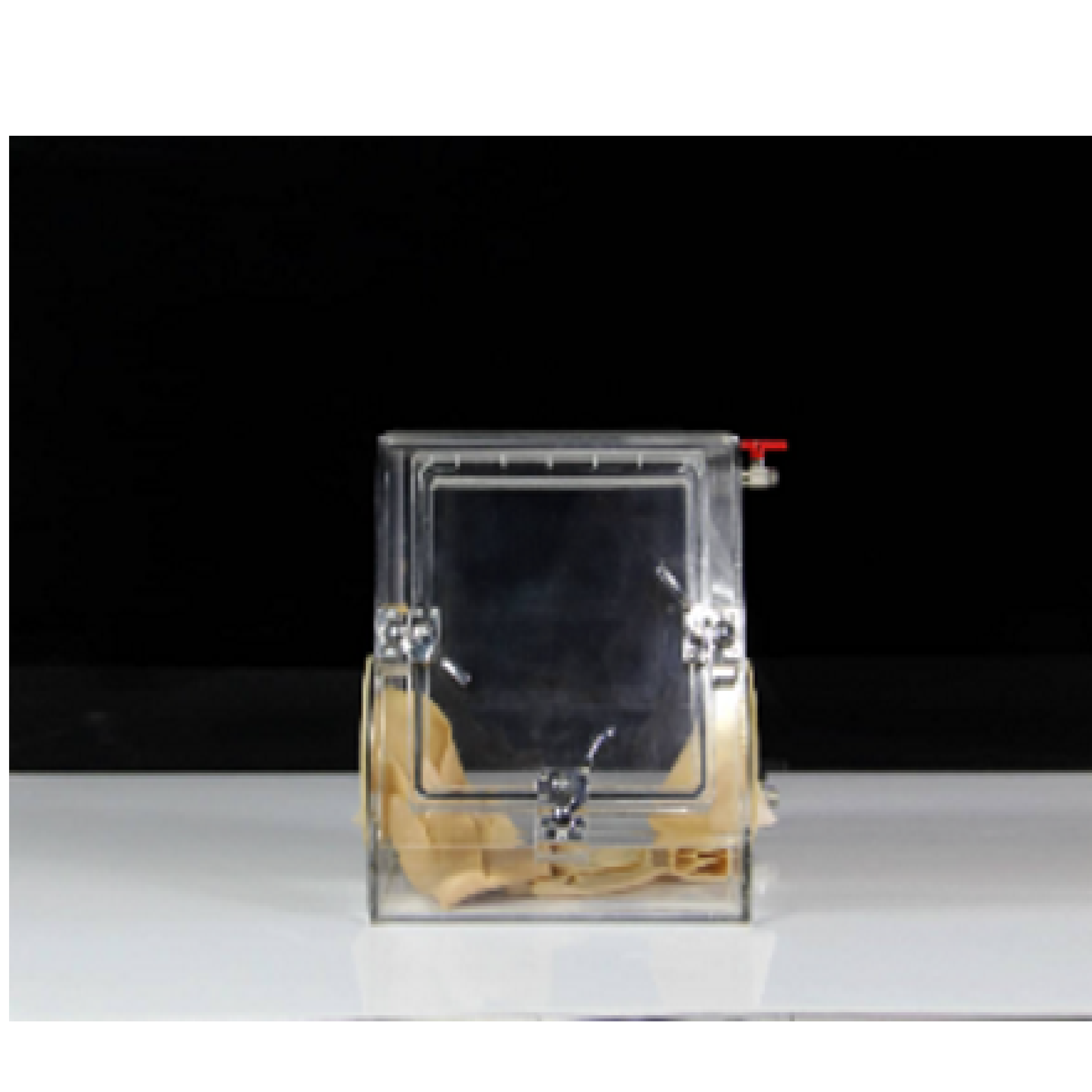 MSE PRO 64L Laboratory Two Port Acrylic Glove Box without Airlock Chamber (400W x 400D x 400H mm) - Laboratory Equipment - MITR - MSE Supplies