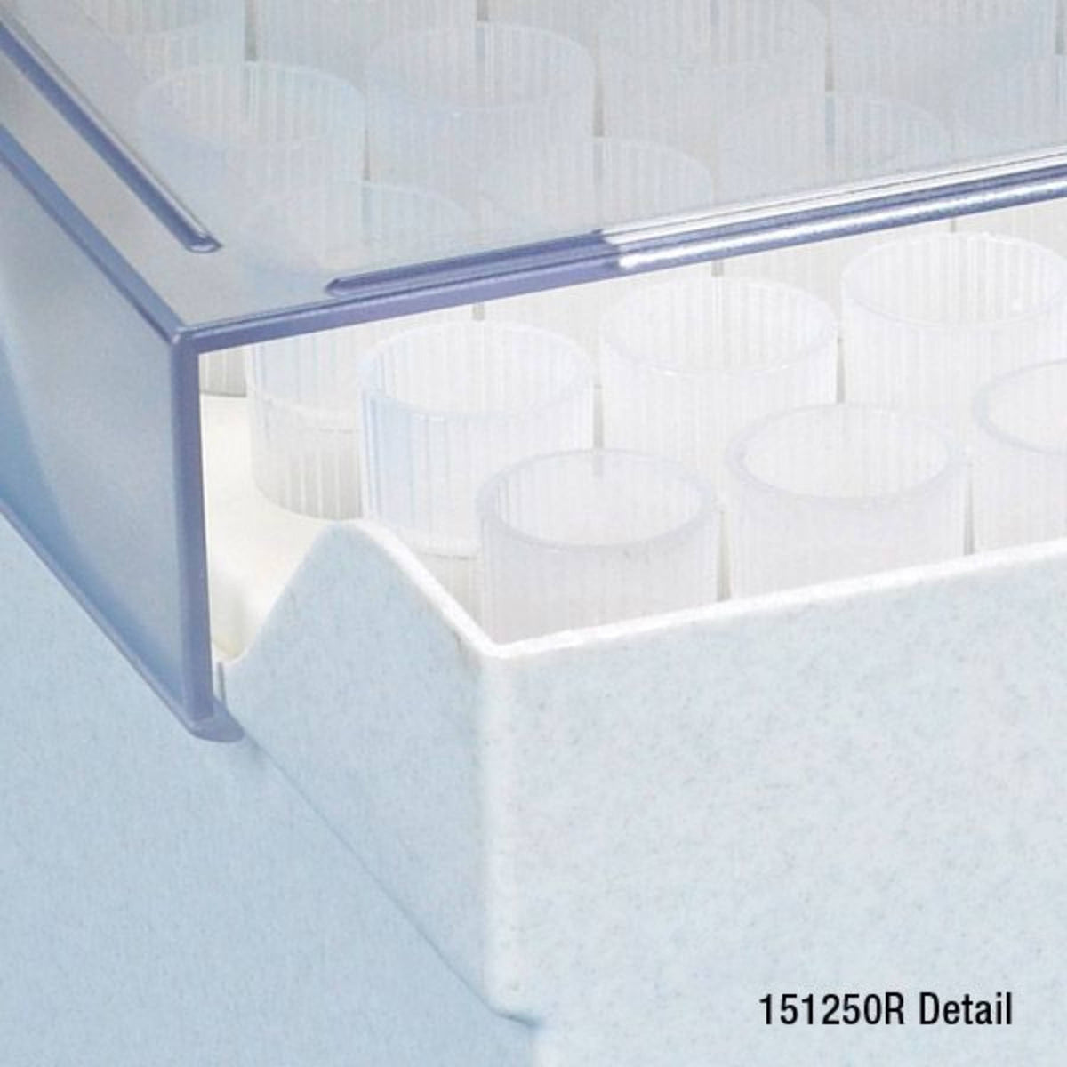 Globe Scientific Pipette Tip,1000-10000ul,Natfor Diamond, Brand, Gilson
