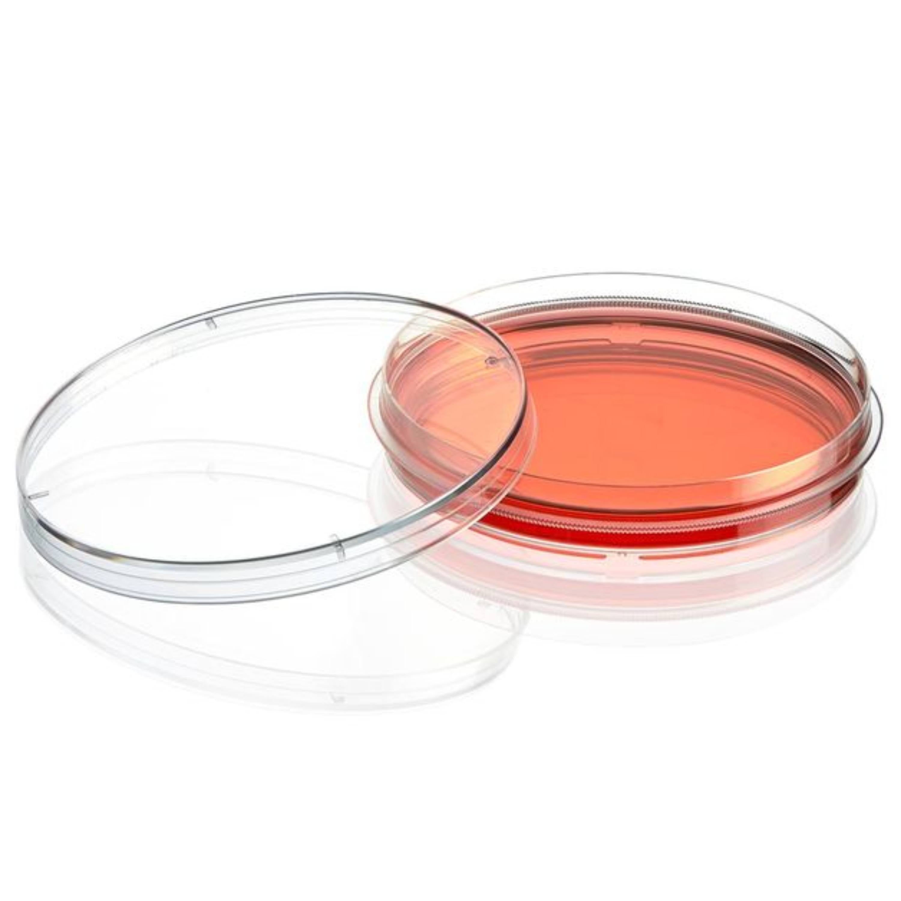 Globe Scientific Cell Culture Dish, TC Treated, 100mm100 X 15mm, Sterile, 10/Bag, 500/Case