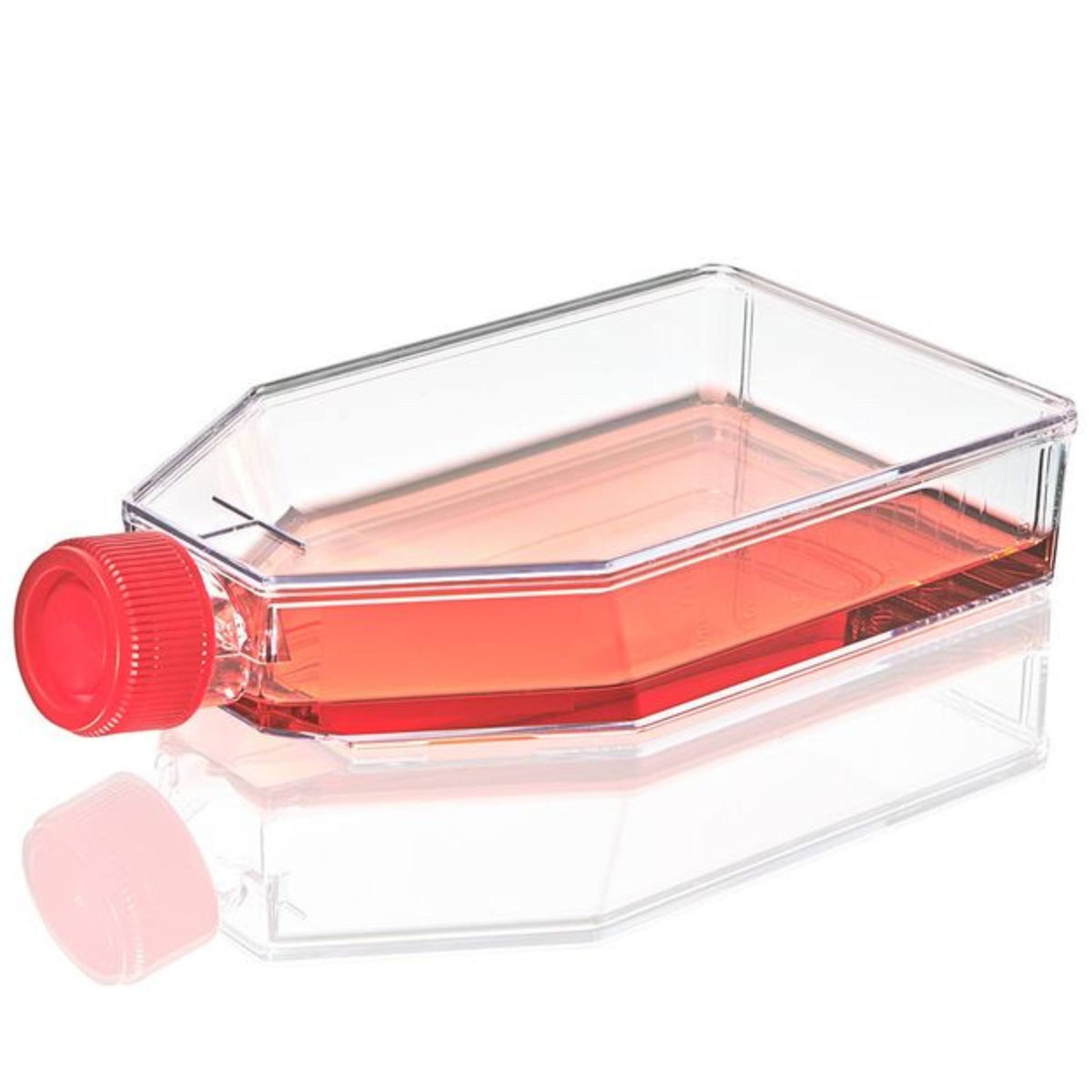 Globe Scientific Cell Culture Flask, TC Treated, 182cm 2plug Cap, Sterile, 5/Bag, 40/Case