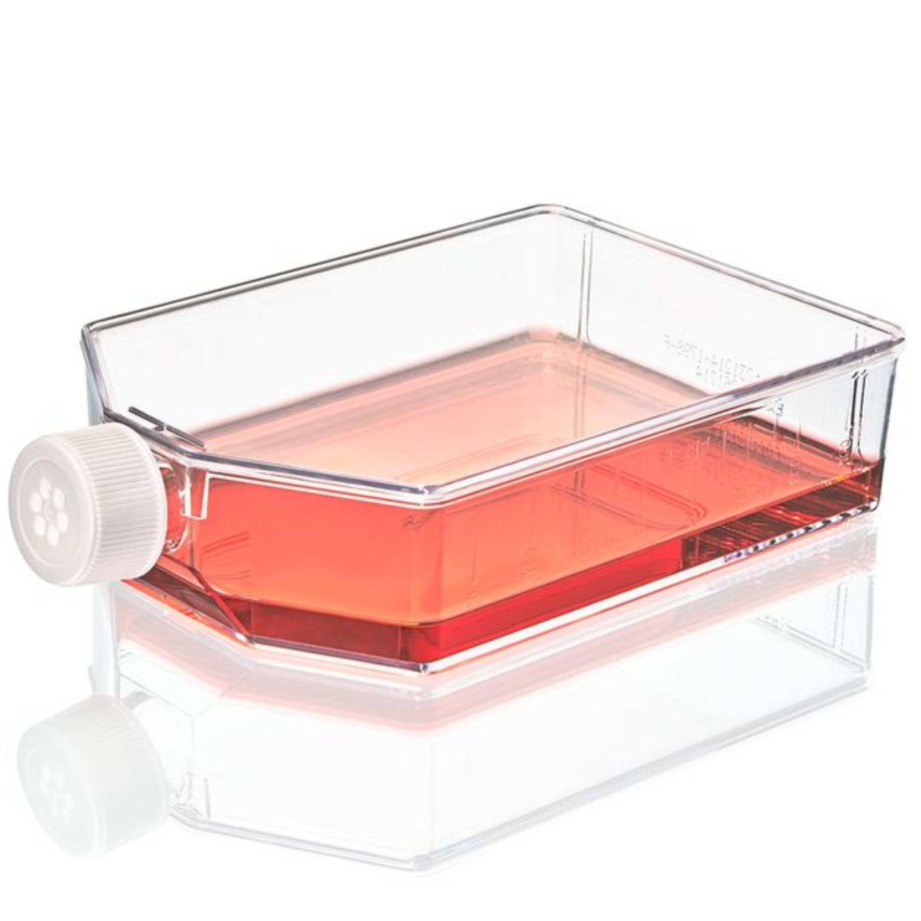 Globe Scientific Cell Culture Flask, Non-Treated, 850ml vent Cap, Sterile, 5/Bag, 25/Case