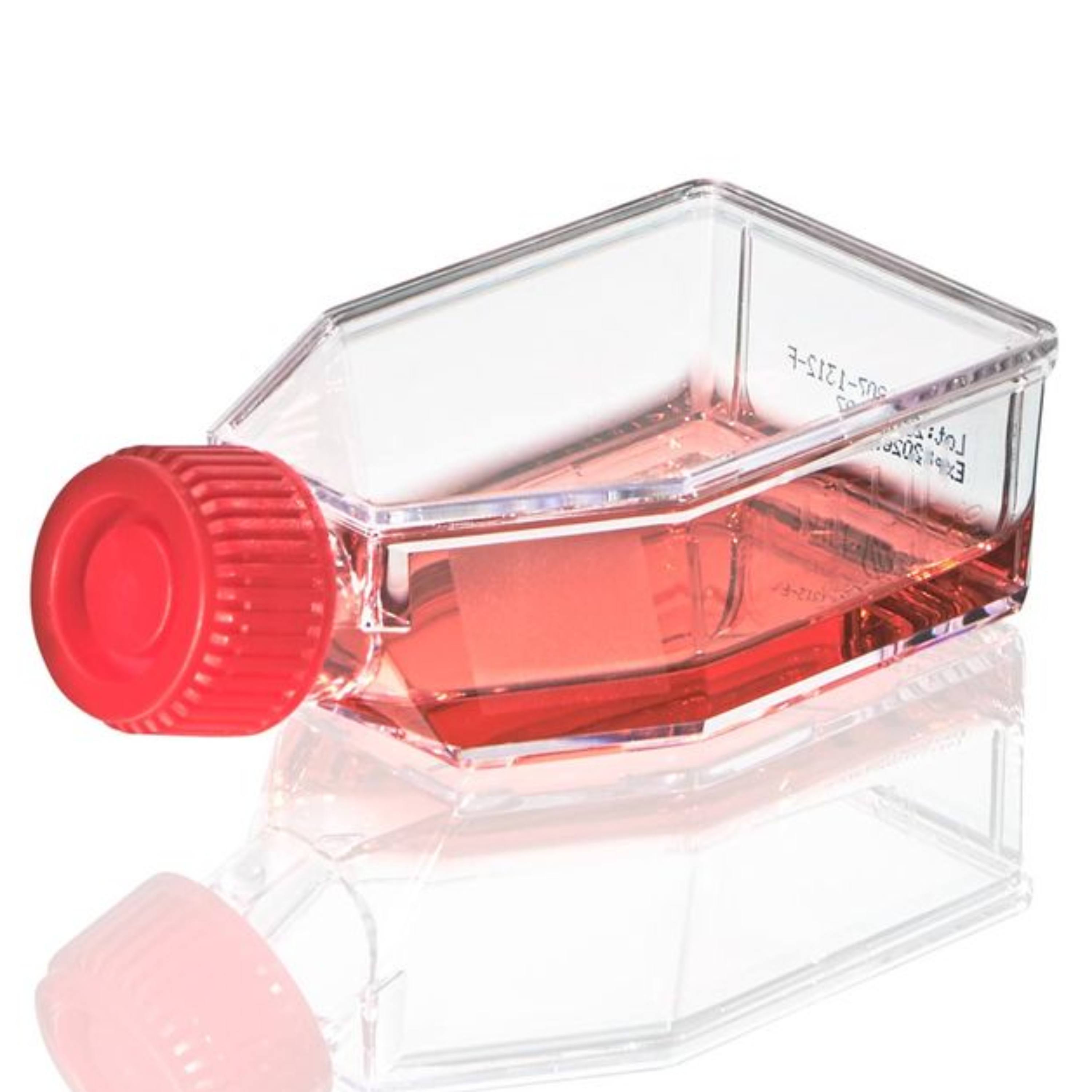 Globe Scientific Cell Culture Flask, TC Treated, 25cm 2plug Cap, Sterile, 10/Bag, 200/Case