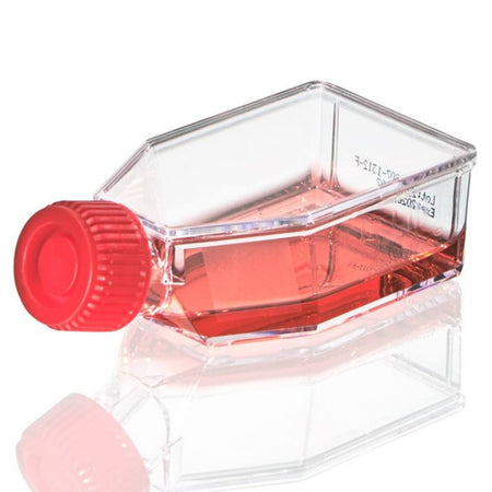 Globe Scientific Cell Culture Flask, TC Treated, 25cm 2plug Cap, Sterile, 10/Bag, 200/Case