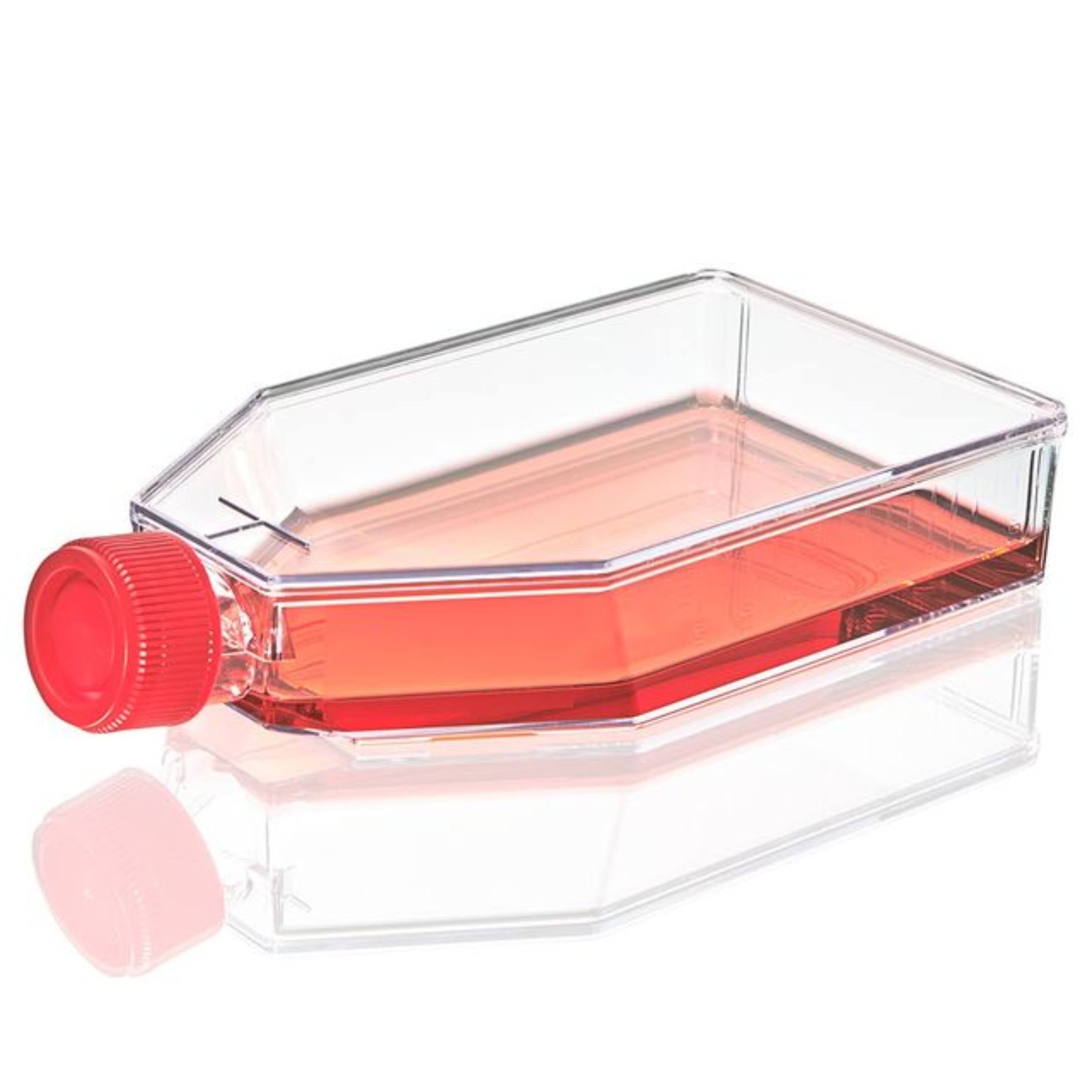 Globe Scientific Cell Culture Flask, TC Treated, 25cm 2vent Cap, Sterile, 10/Bag, 200/Case