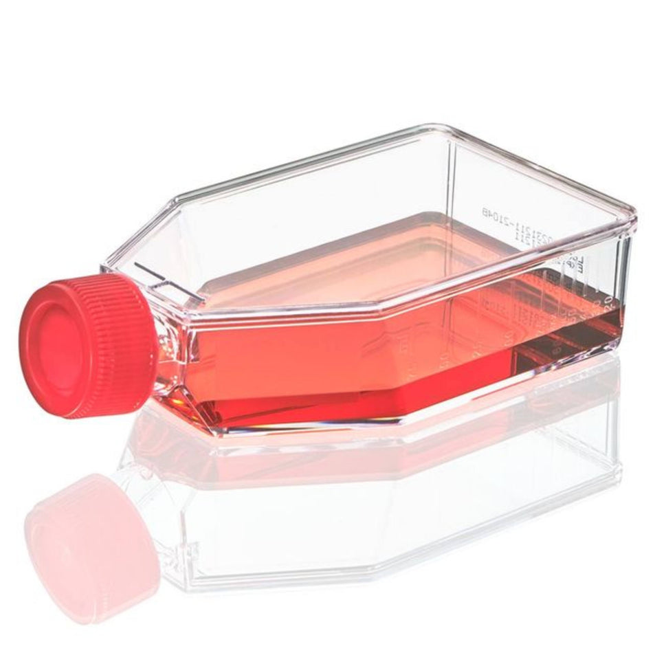 Globe Scientific Cell Culture Flask, TC Treated, 75cm2plug Cap, Sterile, 5/Bag, 100/Case