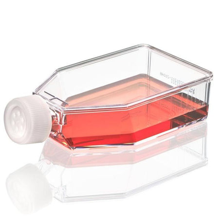 Globe Scientific Cell Culture Flask, Non-Treated, 250mlvent Cap, Sterile, 5/Bag, 100/Case