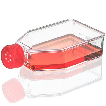 Globe Scientific Cell Culture Flask, TC Treated, 75cm 2vent Cap, Sterile, 5/Bag, 100/Case