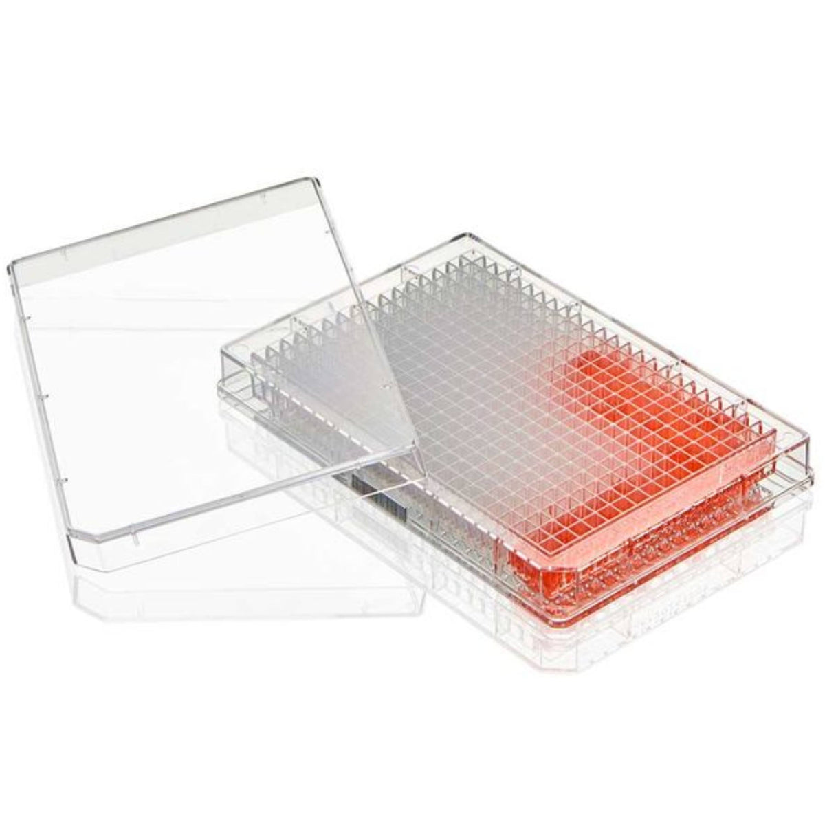 Globe Scientific Multiple Well Plate, 384Well, TC Treated flat Bottom, Sterile, 1/Pack, 50/Box