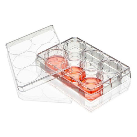 Globe Scientific Multiple Well Plate, 6 Well, Non-Treated flat Bottom, Sterile, 1/Pack, 50/Box