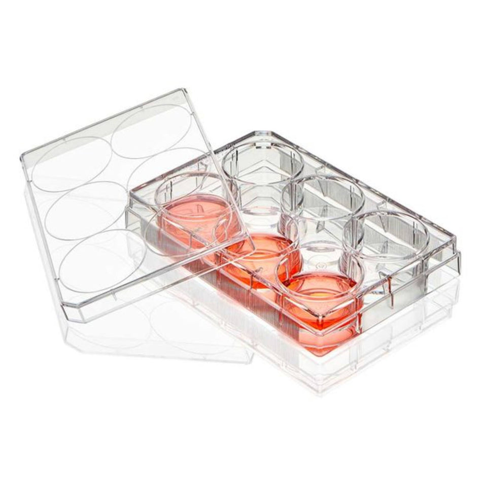 Globe Scientific Multiple Well Plate, 6 Well, Non-Treated flat Bottom, Sterile, 1/Pack, 50/Box