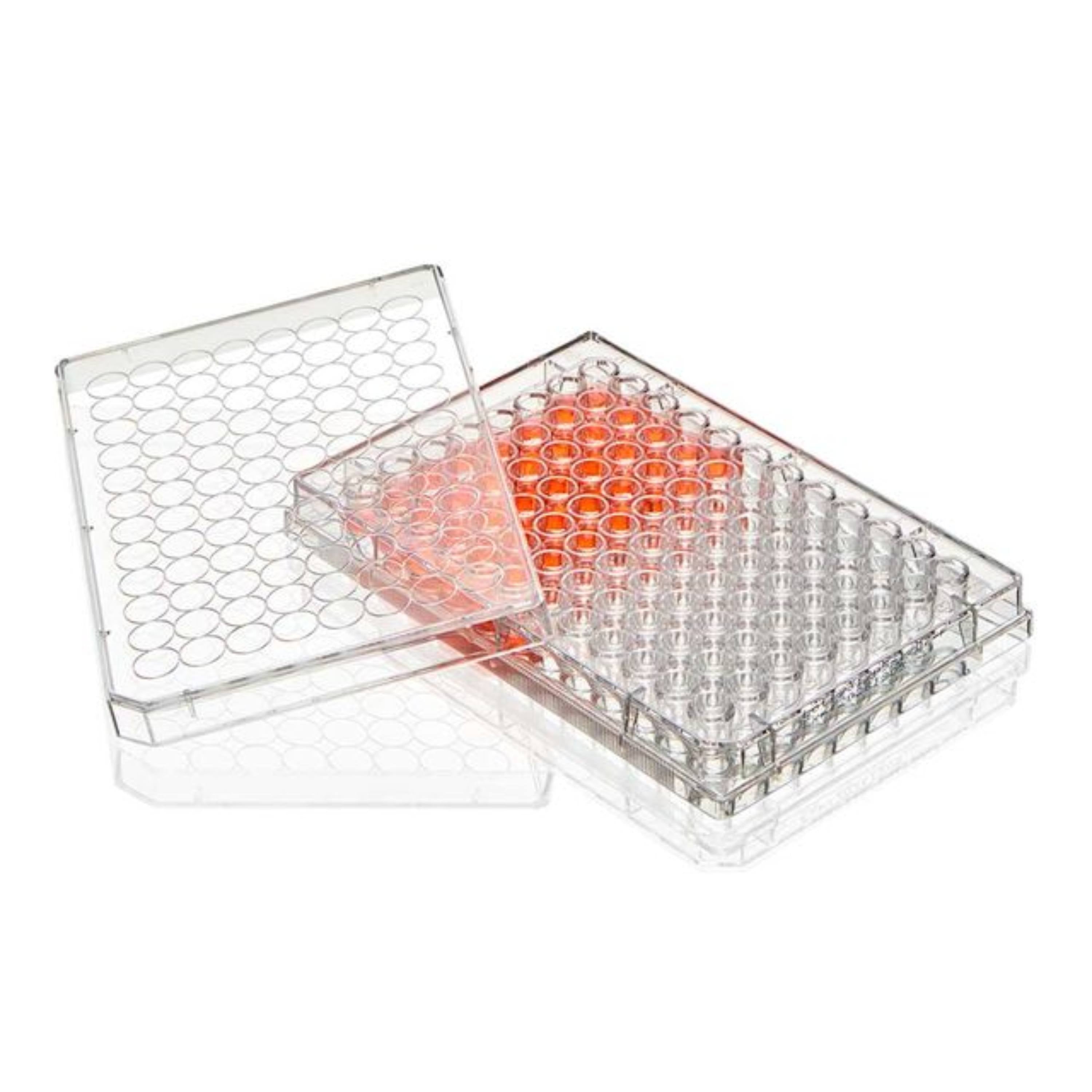 Globe Scientific Multiple Well Plate, 96 Well,Non-Treated round Bottom, Sterile, 1/Pack, 50/Box