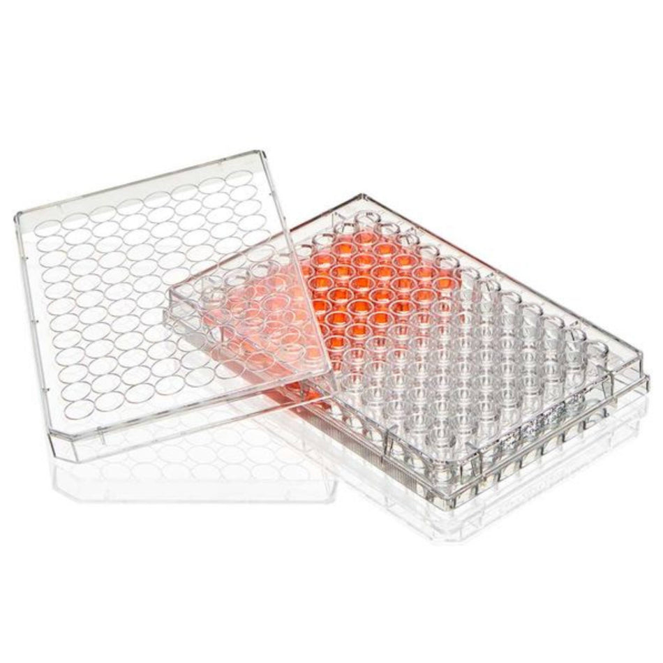 Globe Scientific Multiple Well Plate, 96 Well, TC Treated round Bottom, Sterile, 1/Pack, 50/Box