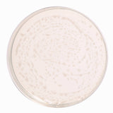 HIMEDIA Orange Serum Agar, Granulated 500G