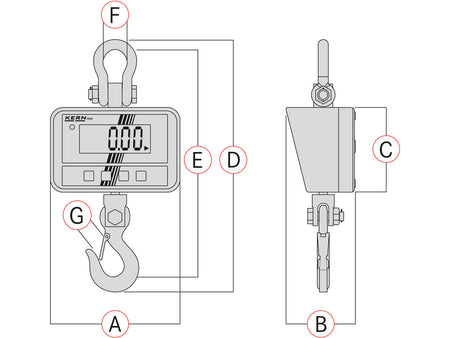 Kern Crane Scale HCD 100K-2, Balances and Scales, Kern, MSE Supplies