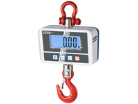 Kern Crane Scale HCD 100K-2D, Balances and Scales, Kern, MSE Supplies