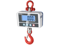 Kern Crane Scale HCD 300K-2D, Balances and Scales, Kern, MSE Supplies