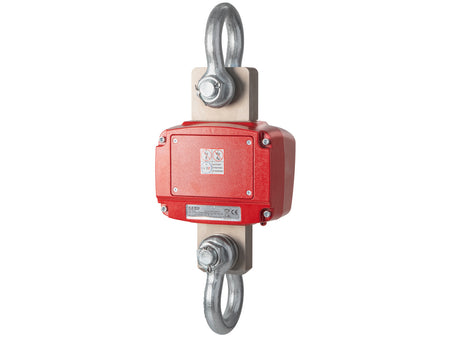 Kern Crane Scale HFD 10T-3M, Balances and Scales, Kern, MSE Supplies